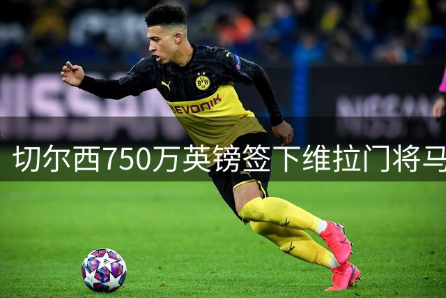 切尔西750万英镑签下维拉门将马丁内斯