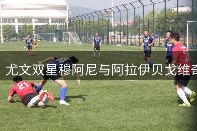 尤文双星穆阿尼与阿拉伊贝戈维奇火速启程 赴港开启季前热身征程